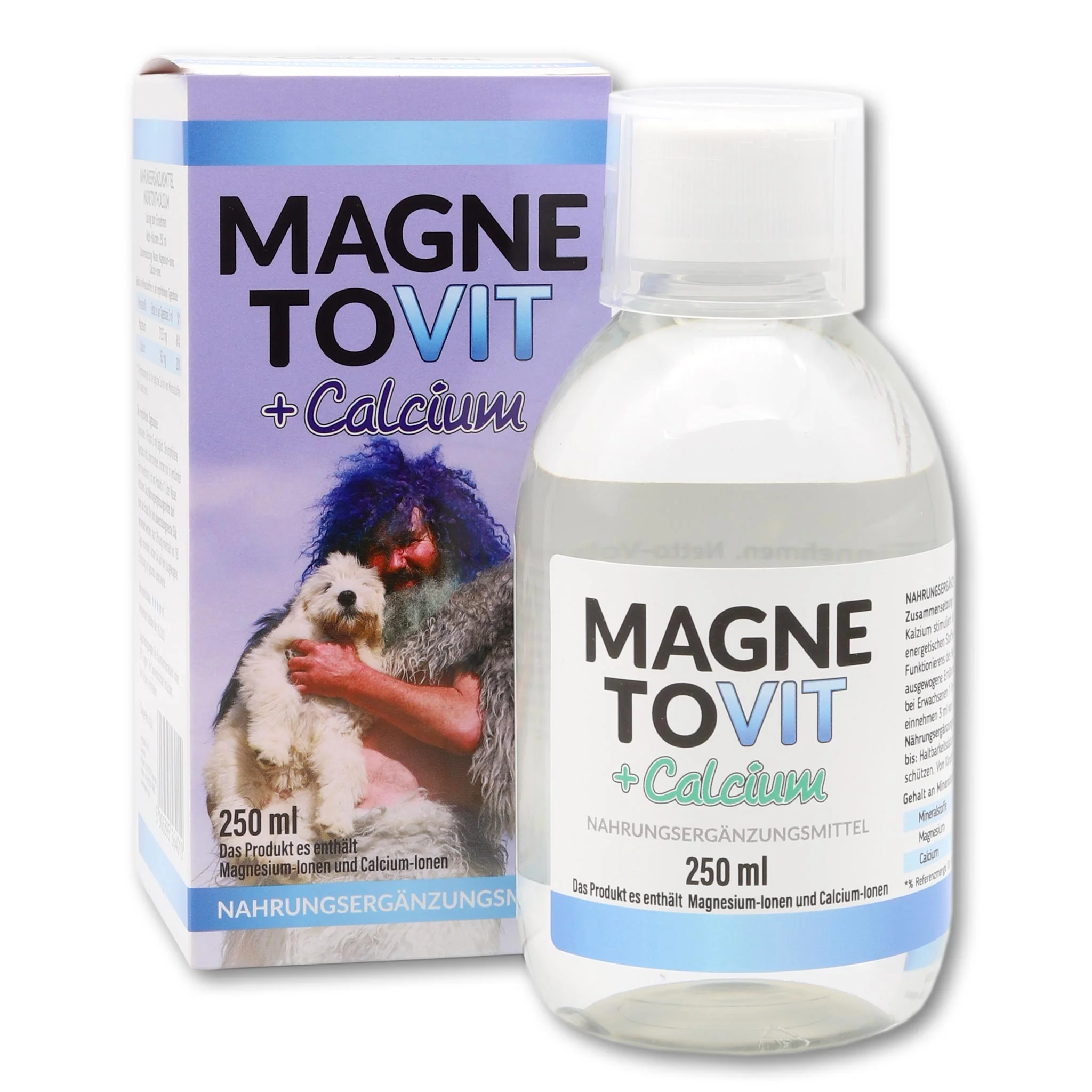 MagnetoVIT